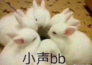 929e0758ly1fjgjz0q68hj20fi0ay3zq.jpg
