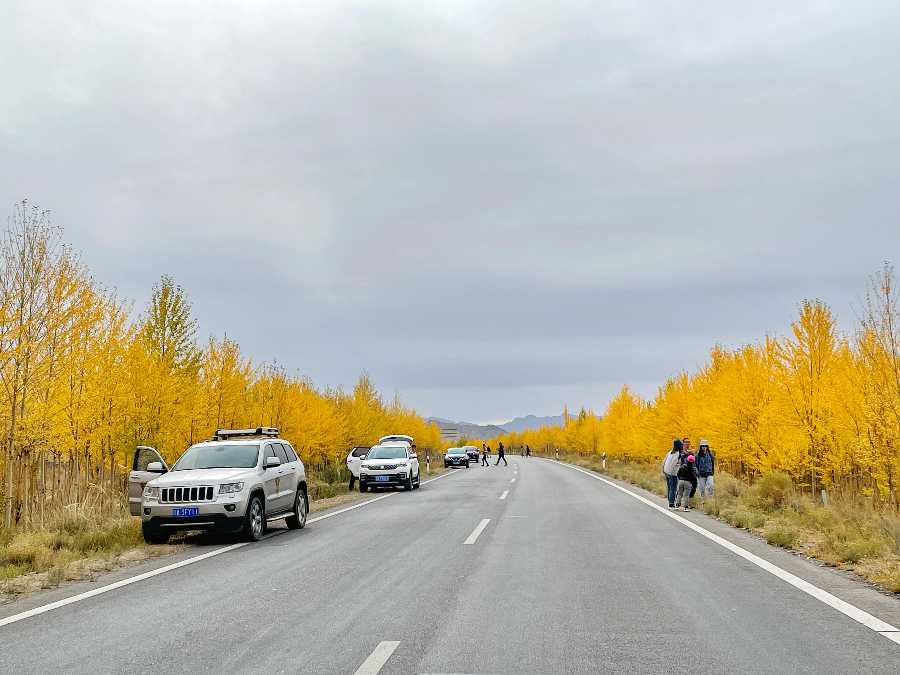 73351F0A-4B85-45B7-ACBD-B8DBE94170F0.jpeg